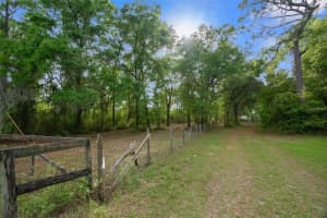 NW 7TH ST, OCALA, FL 34482 - MLS#MFROM703290