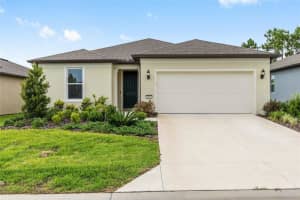 8989 Sw 57th Place Rd, OCALA