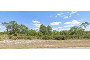 415 HALLMARK AVENUE, LAKE PLACID, FL 33852 - MLS#MFROM703305