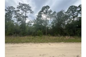 TBD 159 COURT, OCALA, FL 34481 - MLS#MFROM703327