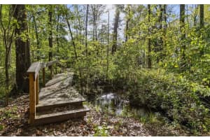 4140 44TH AVENUE, GAINESVILLE, FL 32606 - MLS#MFROM703352