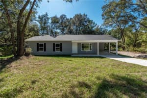 16615 63RD LANE, OCKLAWAHA, FL 32179 - MLS#MFROM703386