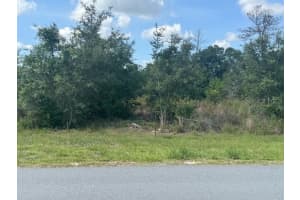 SW 110TH, OCALA, FL 34476 - MLS#MFROM703393