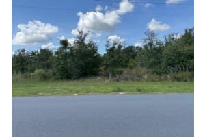 SW 110TH, OCALA, FL 34476 - MLS#MFROM703393