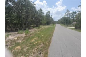 tbd NE 7TH PLACE, WILLISTON, FL 32696 - MLS#MFROM703417