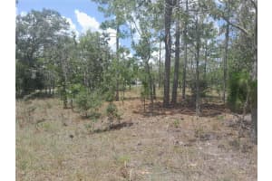 tbd NE 7TH PLACE, WILLISTON, FL 32696 - MLS#MFROM703417