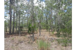 tbd NE 7TH PLACE, WILLISTON, FL 32696 - MLS#MFROM703417