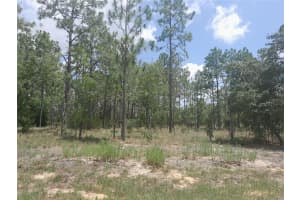 tbd NE 7TH PLACE, WILLISTON, FL 32696 - MLS#MFROM703417