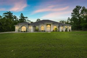 8628 IBERIAN DRIVE, CITRUS SPRINGS, FL 34433 - MLS#MFROM703419