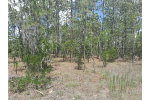 TBD 149TH COURT, WILLISTON, FL 32696 - MLS#MFROM703420