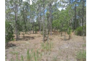 TBD 149TH COURT, WILLISTON, FL 32696 - MLS#MFROM703420