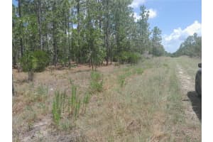 TBD 149TH COURT, WILLISTON, FL 32696 - MLS#MFROM703420