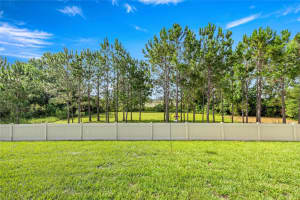 358 IRVING BEND DRIVE, GROVELAND, FL 34736 - MLS#MFROM703445