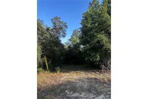 COUNTRY CLUB DRIVE, WILLISTON, FL 32696 Sold 08/15/25