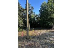COUNTRY CLUB DRIVE, WILLISTON, FL 32696 Sold 08/15/25