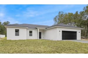 1686 168TH LOOP, OCALA, FL 34473 - MLS#MFROM703517