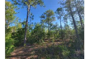 SW EDGEWATER, DUNNELLON, FL 34431 - MLS#MFROM703539