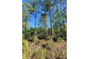 SW EDGEWATER, DUNNELLON, FL 34431 - MLS#MFROM703539