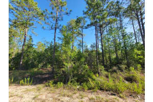 SW EDGEWATER, DUNNELLON, FL 34431 - MLS#MFROM703539