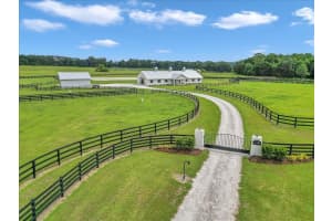 2945 131ST STREET, REDDICK, FL 32686 - MLS#MFROM703583