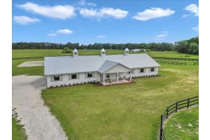 2945 131ST STREET, REDDICK, FL 32686 - MLS#MFROM703583