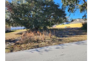 -0- JUNIPER PASS DRIVE, OCALA, FL 34480 - MLS#MFROM703595