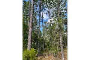 000 138 AVENUE, WILLISTON, FL 32696 Sold 08/26/25