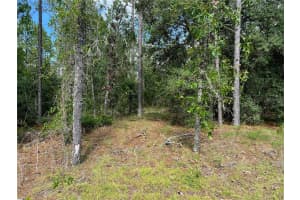 000 138 AVENUE, WILLISTON, FL 32696 Sold 08/26/25