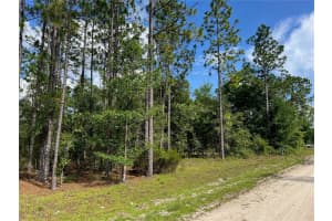 000 138 AVENUE, WILLISTON, FL 32696 Sold 08/26/25