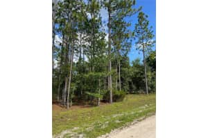 000 138 AVENUE, WILLISTON, FL 32696 Sold 08/26/25