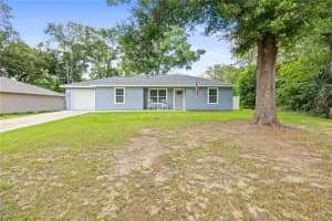 2924 142ND PLACE, SUMMERFIELD, FL 34491 - MLS#MFROM703618