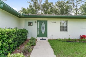 12681 54TH AVENUE, BELLEVIEW, FL 34420 - MLS#MFROM703628