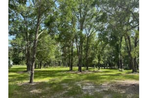 10427 8TH LANE, OCALA, FL 34482 - MLS#MFROM703642