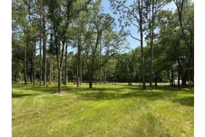 10427 8TH LANE, OCALA, FL 34482 - MLS#MFROM703642