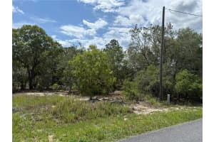 TBD LOCUST LANE PASS, OCALA, FL 34472 - MLS#MFROM703753