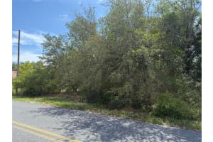 TBD LOCUST LANE PASS, OCALA, FL 34472 - MLS#MFROM703753