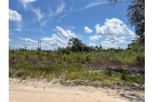 0 157 LANE, DUNNELLON, FL 34432 - MLS#MFROM703836