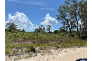 0 157 LANE, DUNNELLON, FL 34432 - MLS#MFROM703836