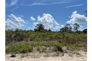 0 157 LANE, DUNNELLON, FL 34432 - MLS#MFROM703836