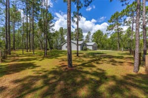 12320 62ND PLACE, OCALA, FL 34481 - MLS#MFROM703840