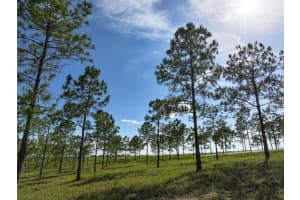4501 DETOUR ROAD, HAINES CITY, FL 33844 - MLS#MFROM703844