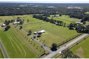 12895 GAINESVILLE ROAD, REDDICK, FL 32686 Sold 09/30/25