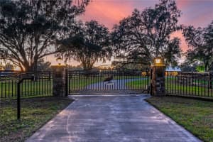 6140 145TH AVENUE ROAD, MORRISTON, FL 32668 - MLS#MFROM703863