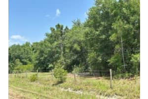 21041 GRANVILLE ROAD, NORTH FORT MYERS, FL 33917 - MLS#MFROM703865
