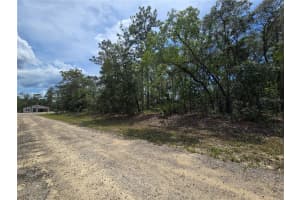 6468 BAYLOR TERRACE, DUNNELLON, FL 34433 - MLS#MFROM703904