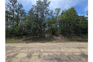 6468 BAYLOR TERRACE, DUNNELLON, FL 34433 - MLS#MFROM703904