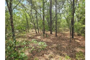6468 BAYLOR TERRACE, DUNNELLON, FL 34433 - MLS#MFROM703904
