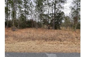 LOT 14 136 TERRACE, DUNNELLON, FL 34431 Sold 08/15/25
