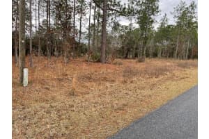LOT 14 136 TERRACE, DUNNELLON, FL 34431 Sold 08/15/25