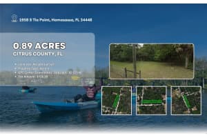 1958 TIA POINT, HOMOSASSA, FL 34448 - MLS#MFROM703991